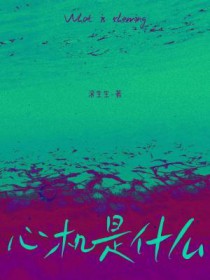 心机是什么
